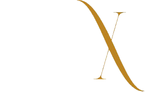 Skin X Aesthetics Logo